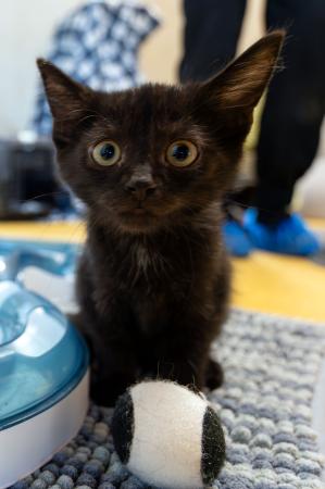 Valentin, Viktor, Vincent, Vivien, Vroni