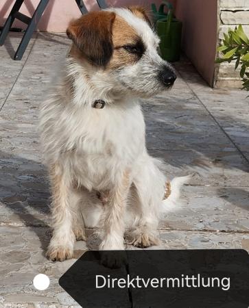 Sunny Direktvermittlung