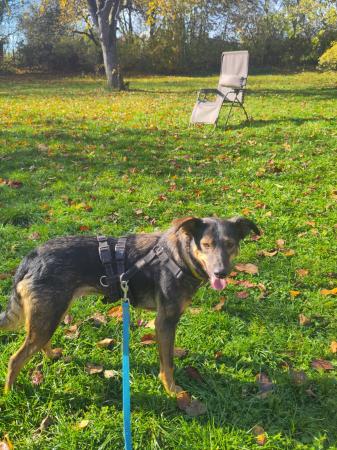 Rayla Direktvermittlung