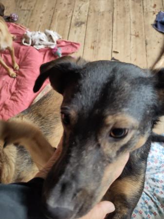 Rayla Direktvermittlung