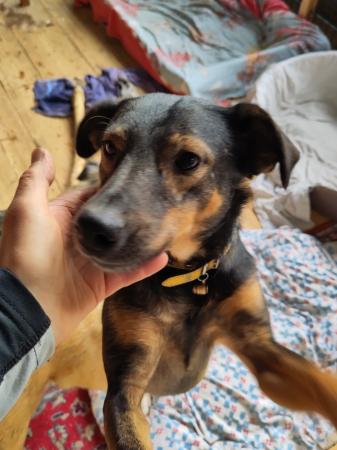 Rayla Direktvermittlung