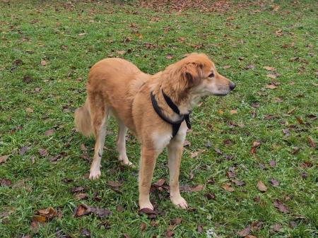 Amy Direktvermittlung