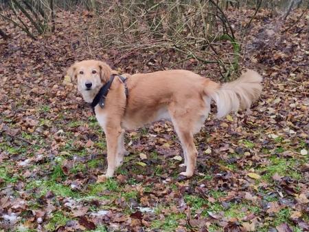 Amy Direktvermittlung