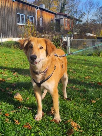 Amy Direktvermittlung