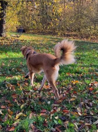 Amy Direktvermittlung