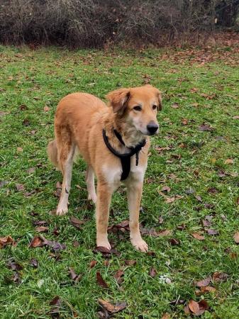 Amy Direktvermittlung