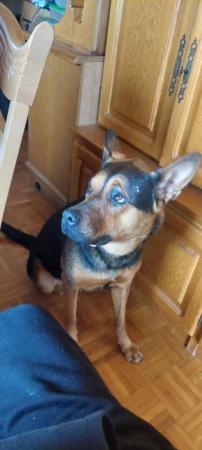 Shila Direktvermittlung 