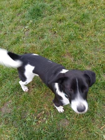 Lana            DIREKTVERMITTLUNG