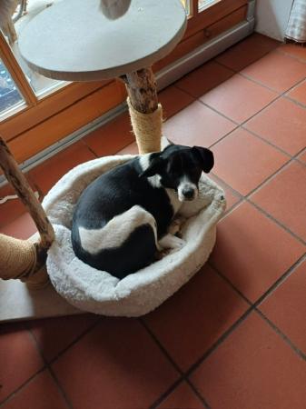 Lana            DIREKTVERMITTLUNG