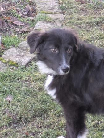 Valentina Direktvermittlung 