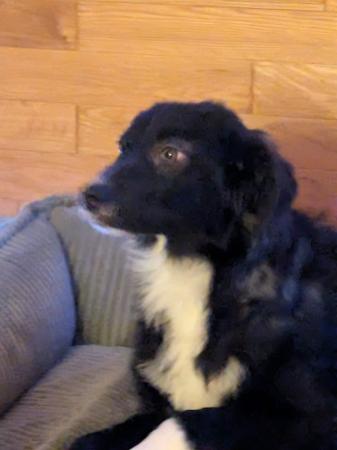 Valentina Direktvermittlung 