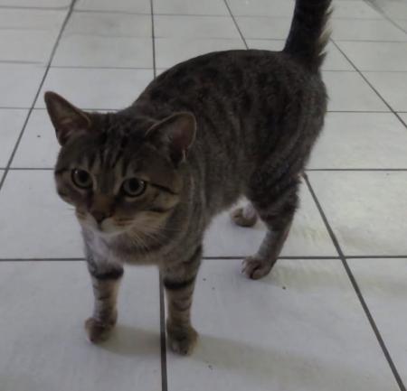 Kalle & Moritz           Wohnungshaltung möglich