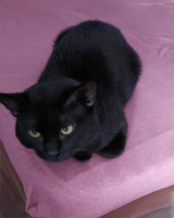 Kalle & Moritz           Wohnungshaltung möglich