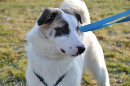 Mickie Direktvermittlung