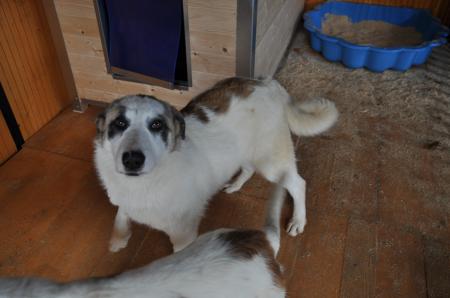 Mickie Direktvermittlung