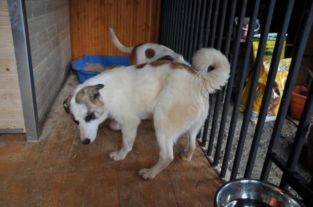 Mickie Direktvermittlung