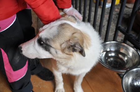 Mickie Direktvermittlung