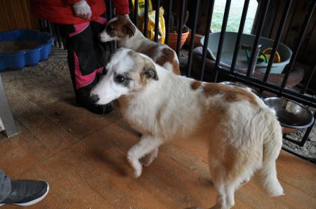 Mickie Direktvermittlung