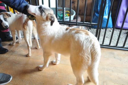 Mickie Direktvermittlung