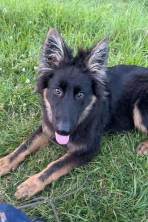 Erwin    Direktvermittlung