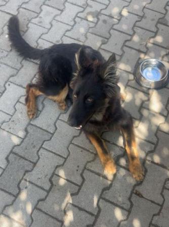 Erwin    Direktvermittlung