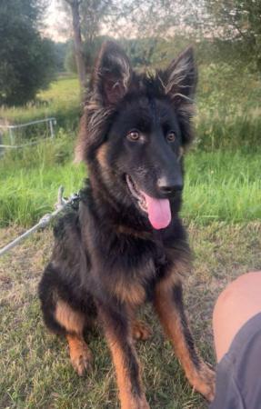 Erwin    Direktvermittlung