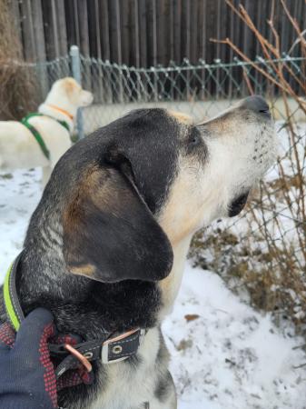 Aponi Direktvermittlung 