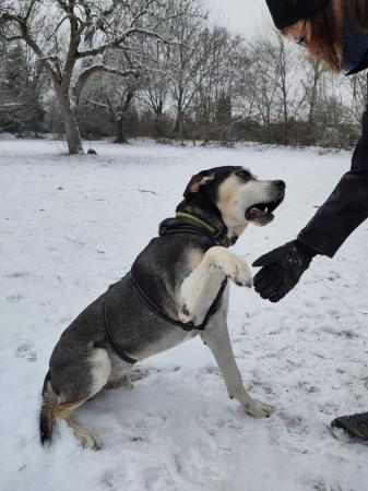 Aponi Direktvermittlung 