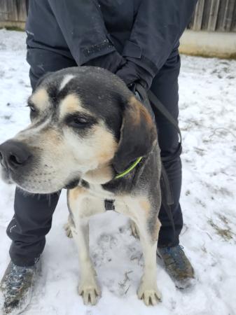 Aponi Direktvermittlung 