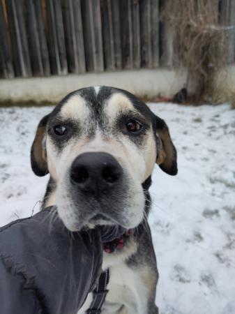 Aponi Direktvermittlung 