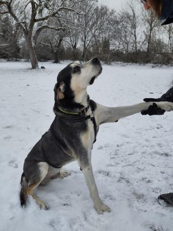 Aponi Direktvermittlung 