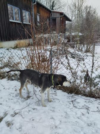Aponi Direktvermittlung 