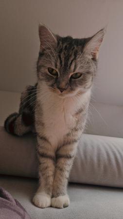 Ruby & Karnea                         Direktvermittlung