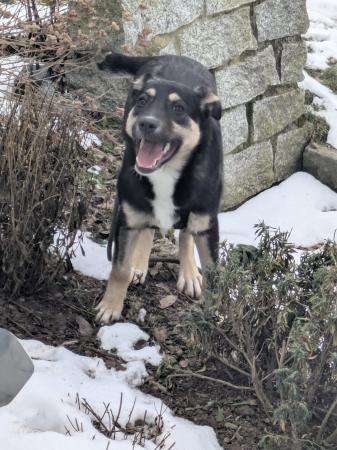 Mei Direktvermittlung 