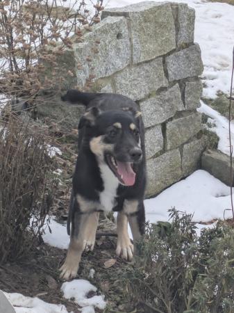 Mei Direktvermittlung 