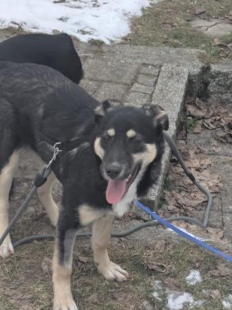 Mei Direktvermittlung 