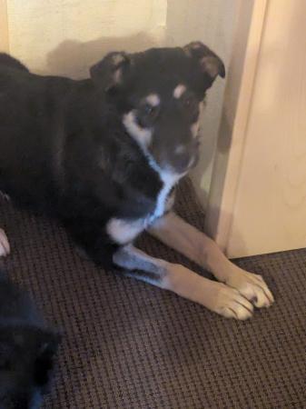 Mei Direktvermittlung 