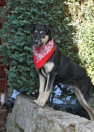 Mei Direktvermittlung 