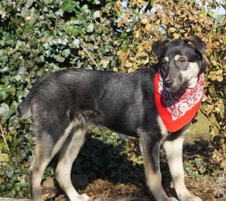 Mei Direktvermittlung 