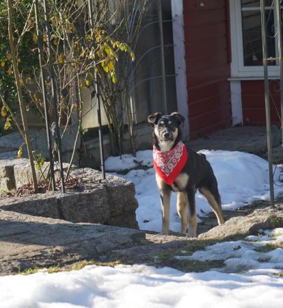 Mei Direktvermittlung 