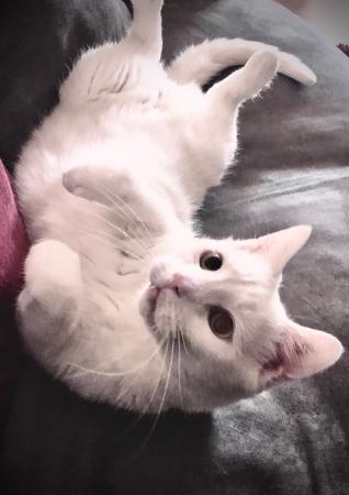 Monte                    Wohnungshaltung