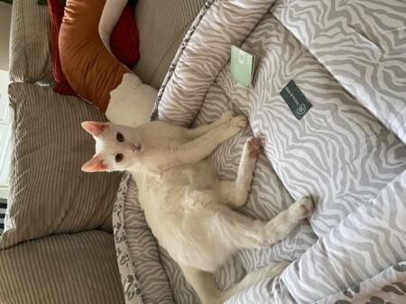 Monte                    Wohnungshaltung