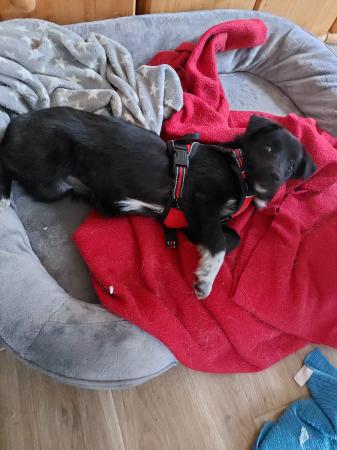 Nala Direktvermittlung 