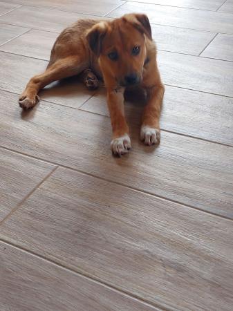 Emi Direktvermittlung 