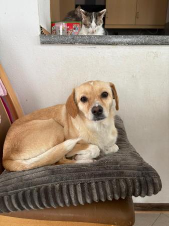 Fita Direktvermittlung 