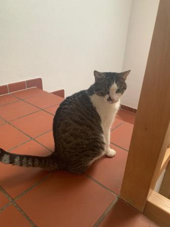 Charlie und Yuumi (Direktvermittlung)