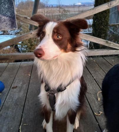 Twix Direktvermittlung 