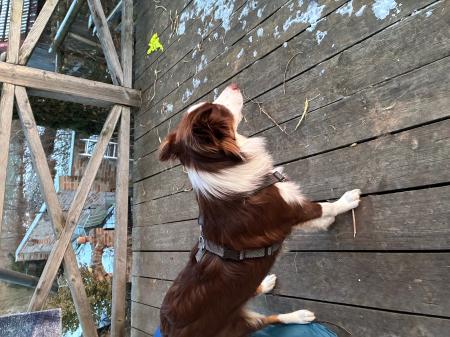 Twix Direktvermittlung 