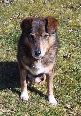 Toni Direktvermittlung 