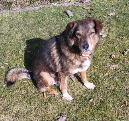 Toni Direktvermittlung 